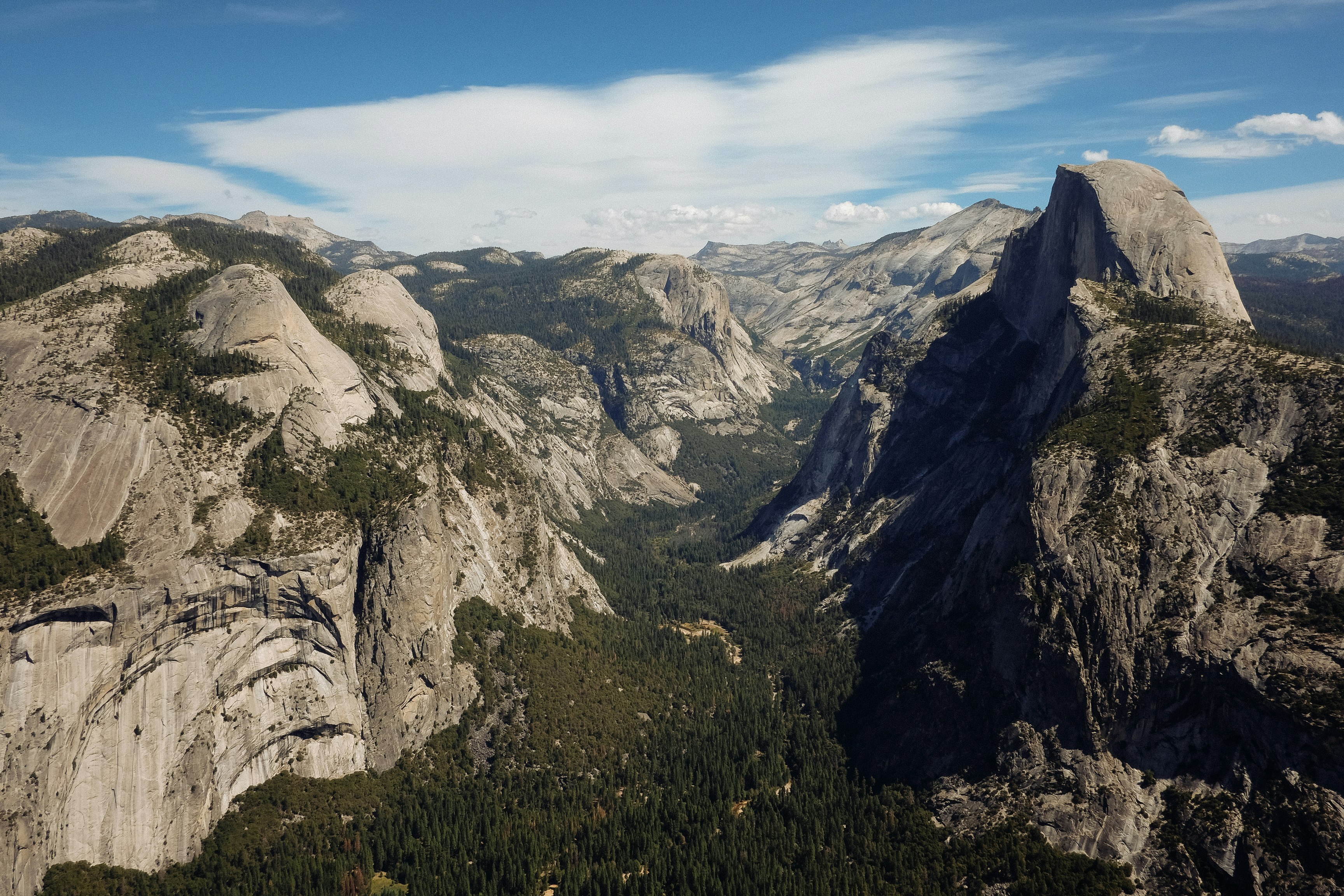 mountains and forest during daytime